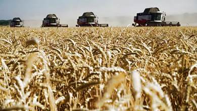 ​5 شروط روسية لتمديد صفقة الحبوب في مايو 2023